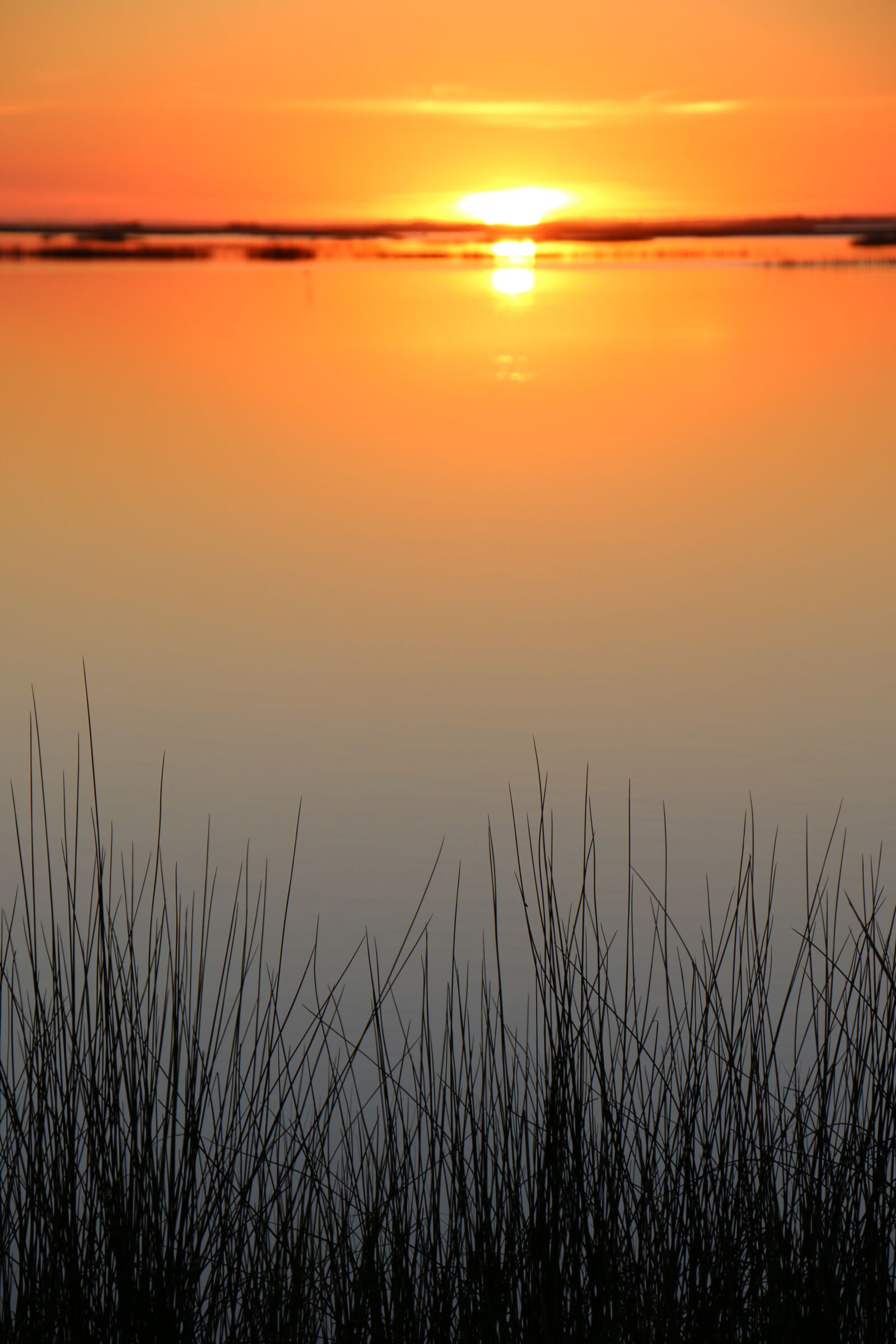 Canon EOS 70D + Canon EF-S 18-135mm F3.5-5.6 IS STM sample photo. Sunset, sound, reeds photography