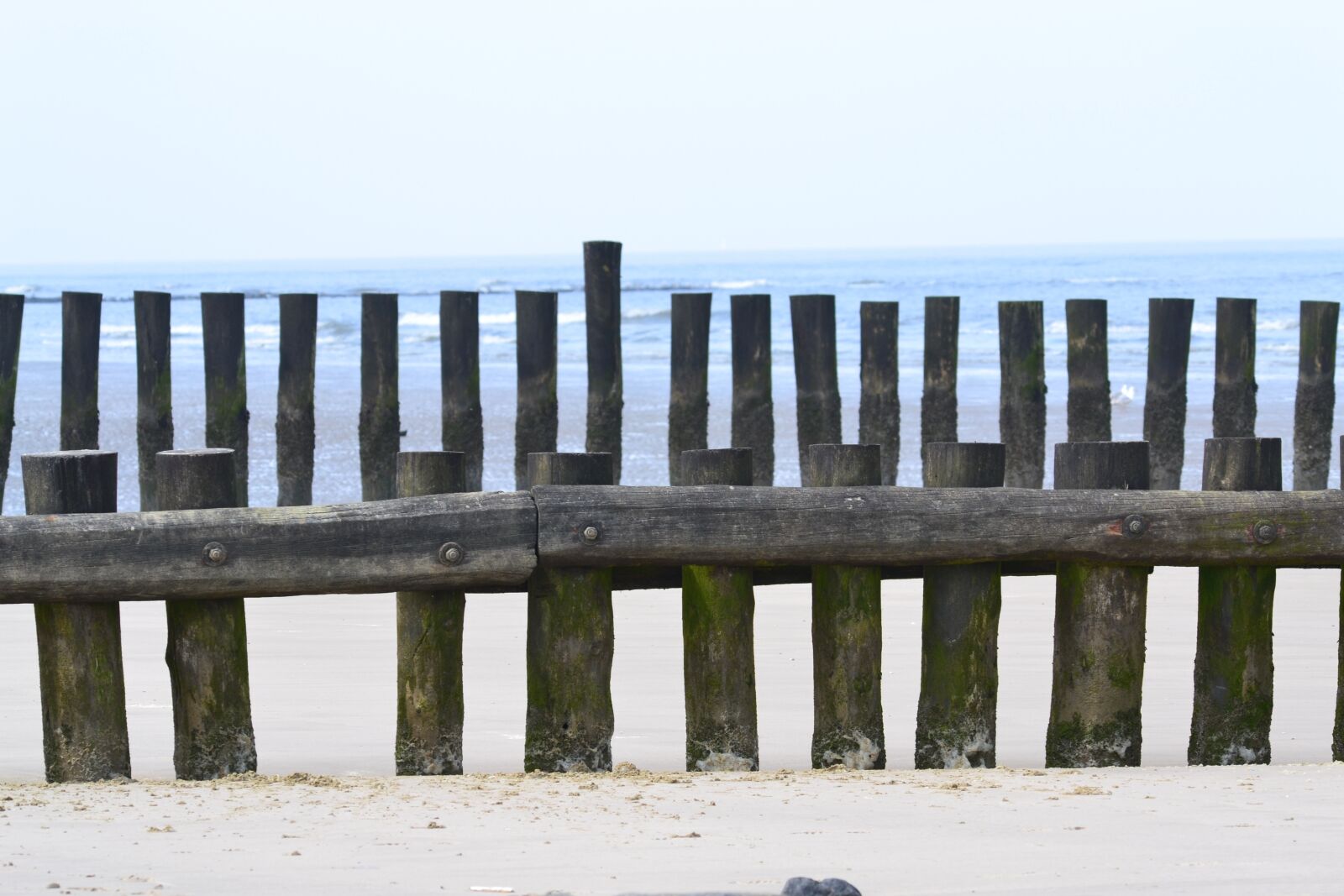Nikon D3100 sample photo. Beach, protection, security photography