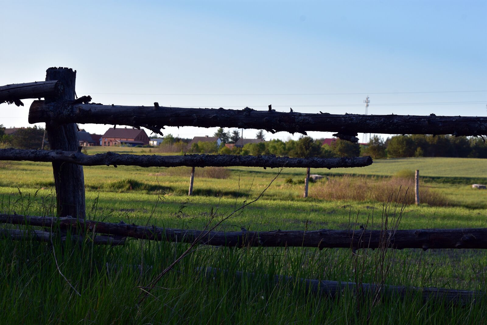 Nikon D3400 sample photo. Village, fencing, field photography