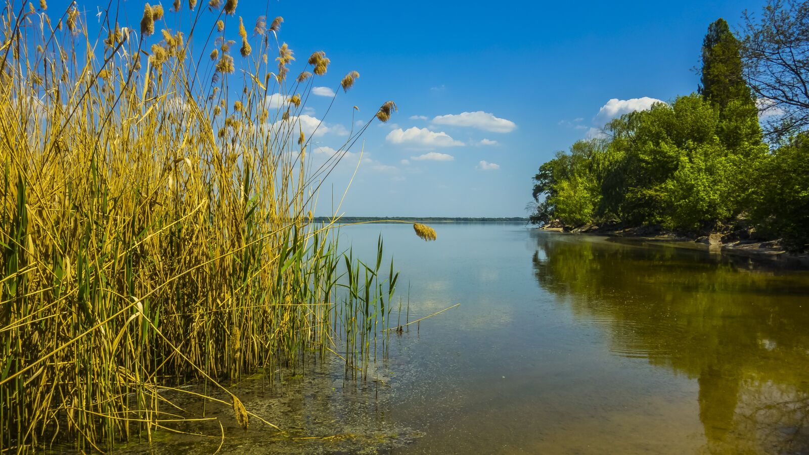 Sony Cyber-shot DSC-RX100 sample photo. Water, nature, reflection photography