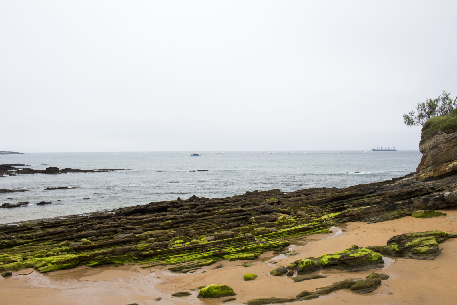 Canon EOS 700D (EOS Rebel T5i / EOS Kiss X7i) sample photo