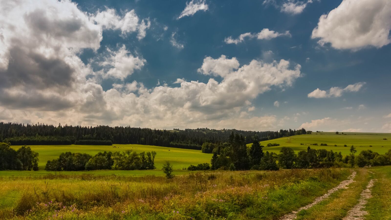 Canon EOS 700D (EOS Rebel T5i / EOS Kiss X7i) sample photo. Landscape, spisz, summer photography