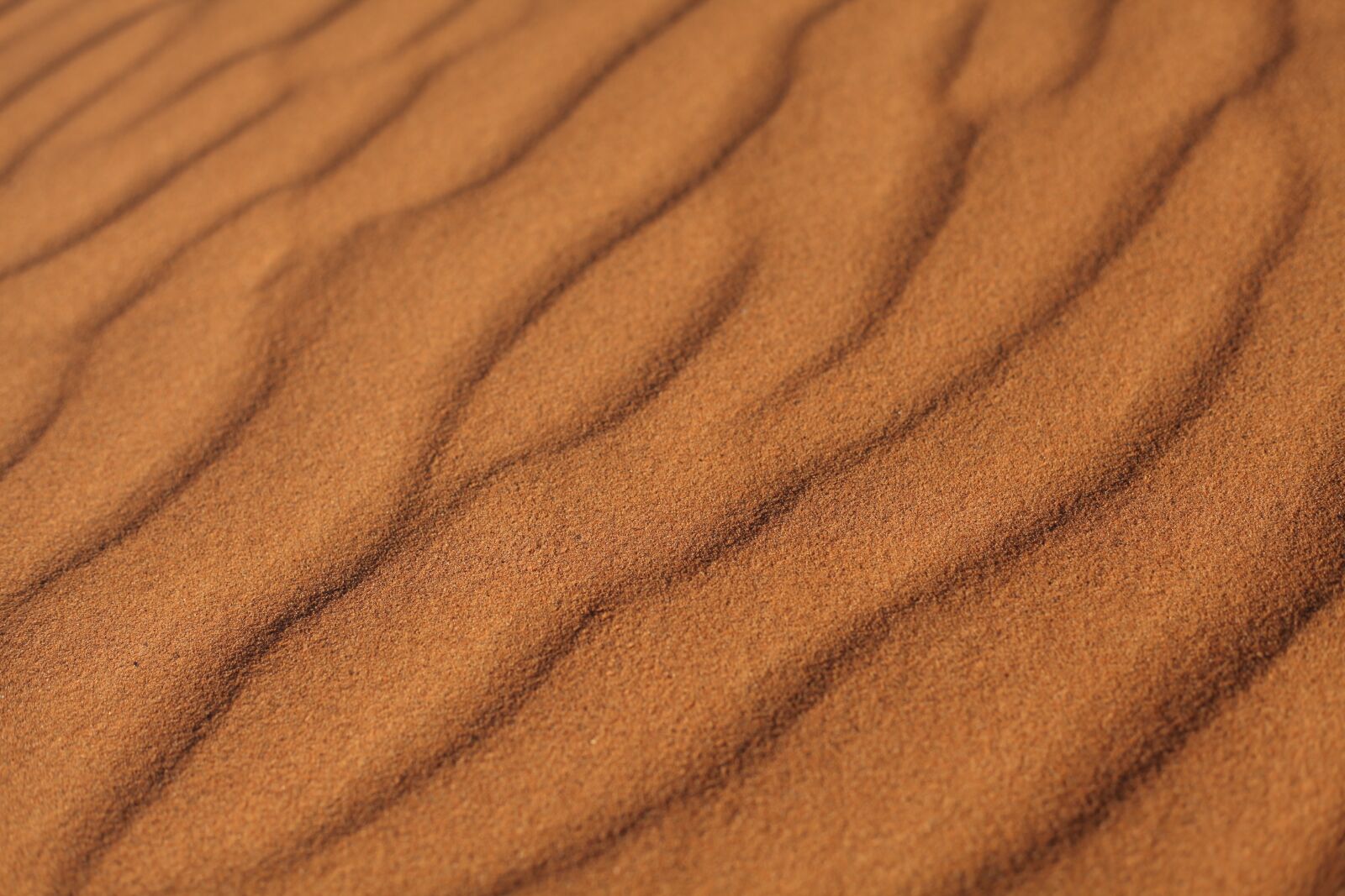 Canon EOS 5D Mark II sample photo. Sand, desert, stone photography