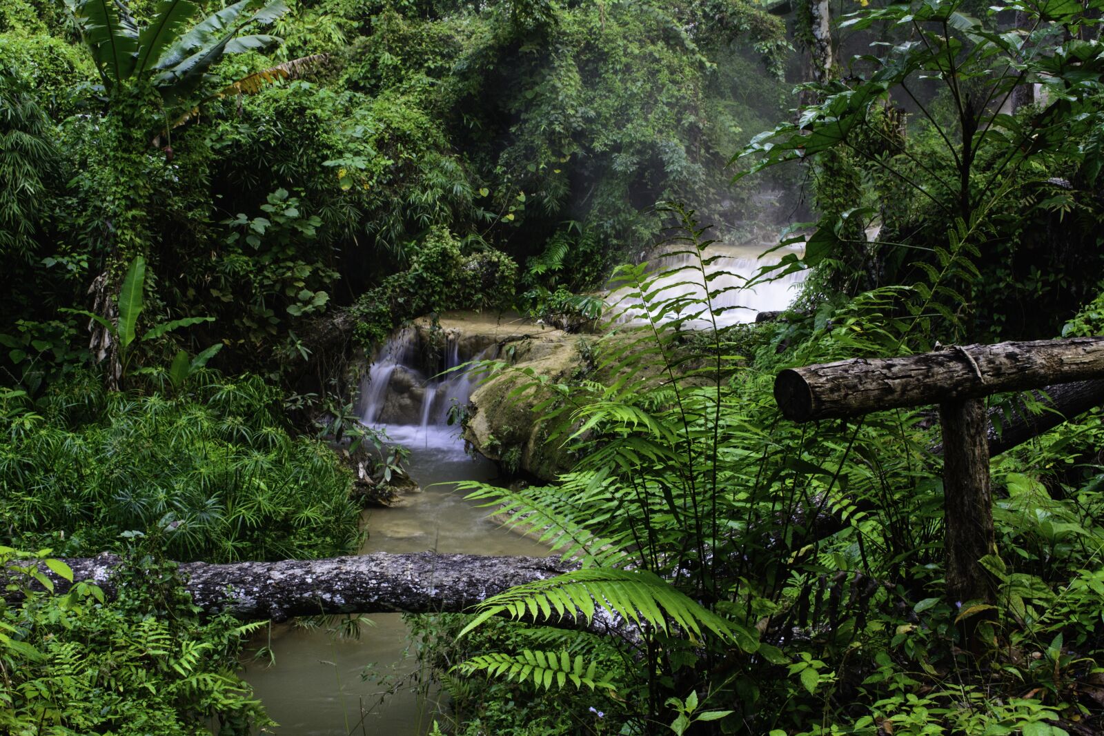 Nikon D5200 sample photo. Forest waterfall, stream, forest photography