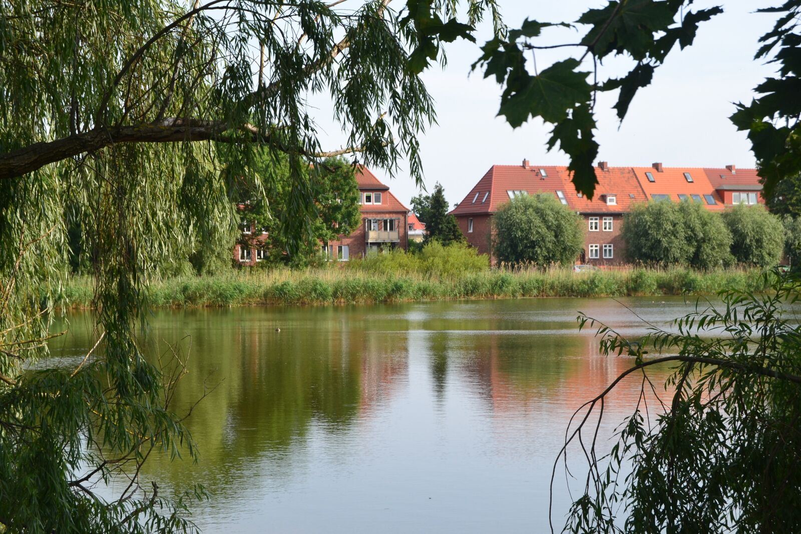Nikon D3100 sample photo. House, lake, tree photography
