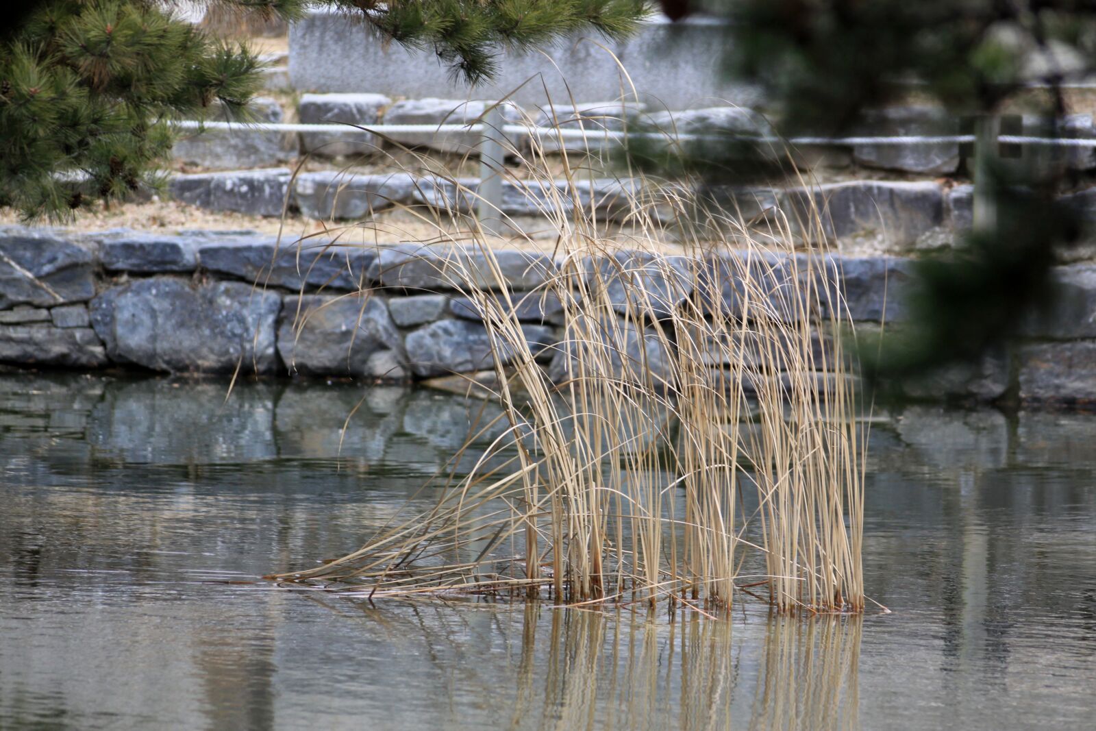 Canon EOS 50D sample photo. Lake, garden, korean traditional photography