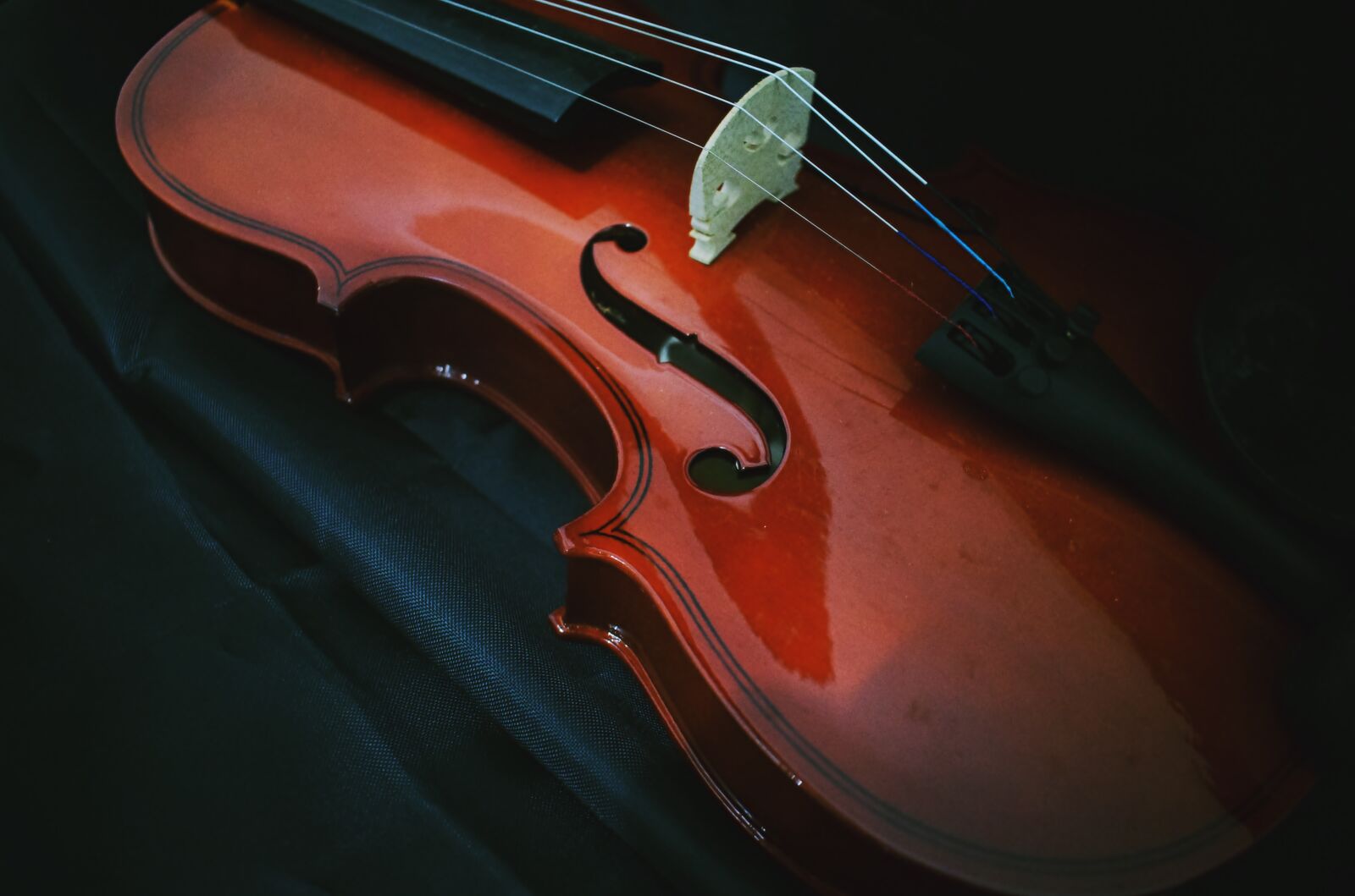 Nikon D5300 sample photo. Violin, music, musical photography