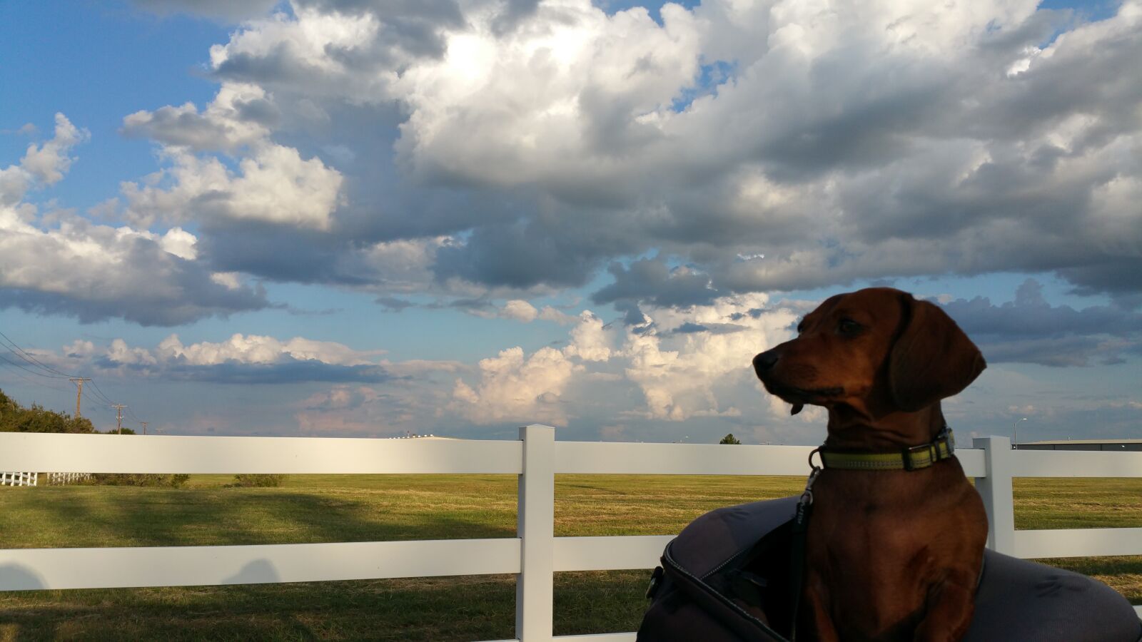 Samsung Galaxy Note4 sample photo