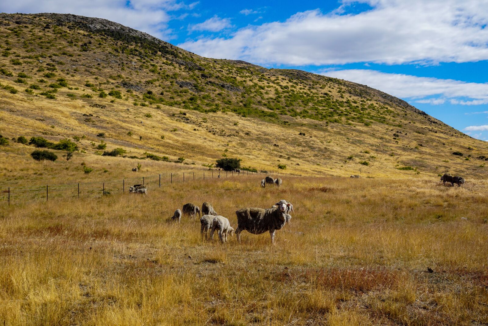 Sony E 16-50mm F3.5-5.6 PZ OSS sample photo. Landscape, nature, outdoors photography