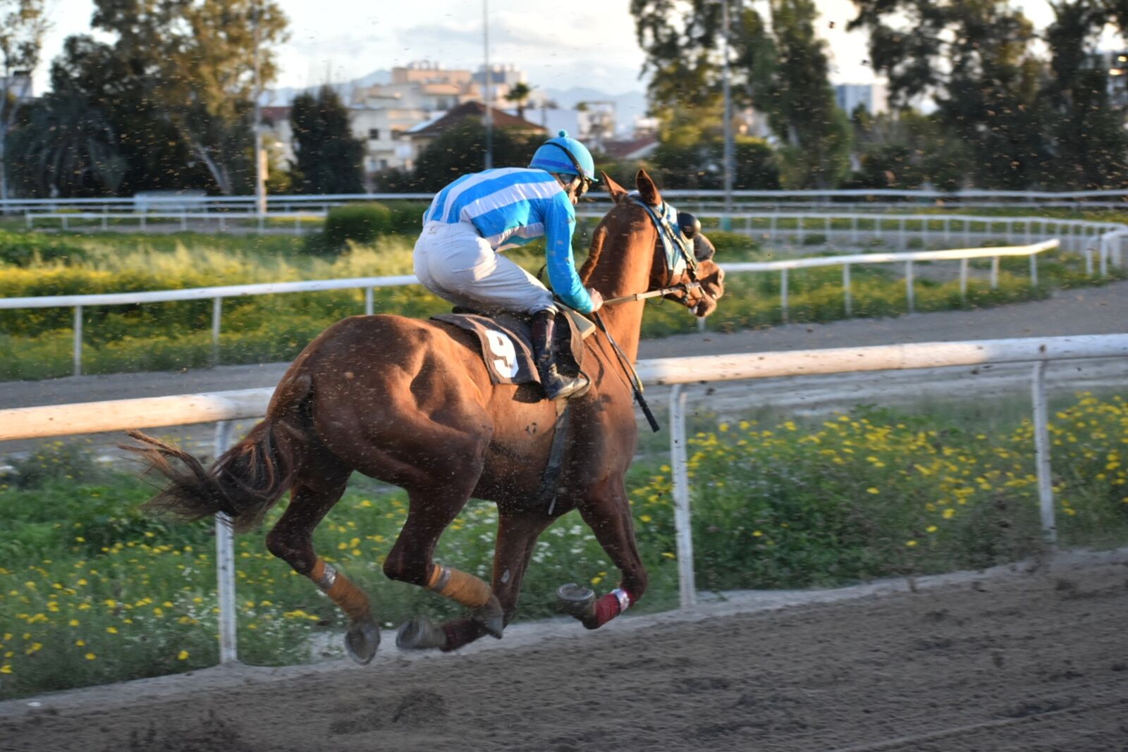 Nikon D5600 sample photo