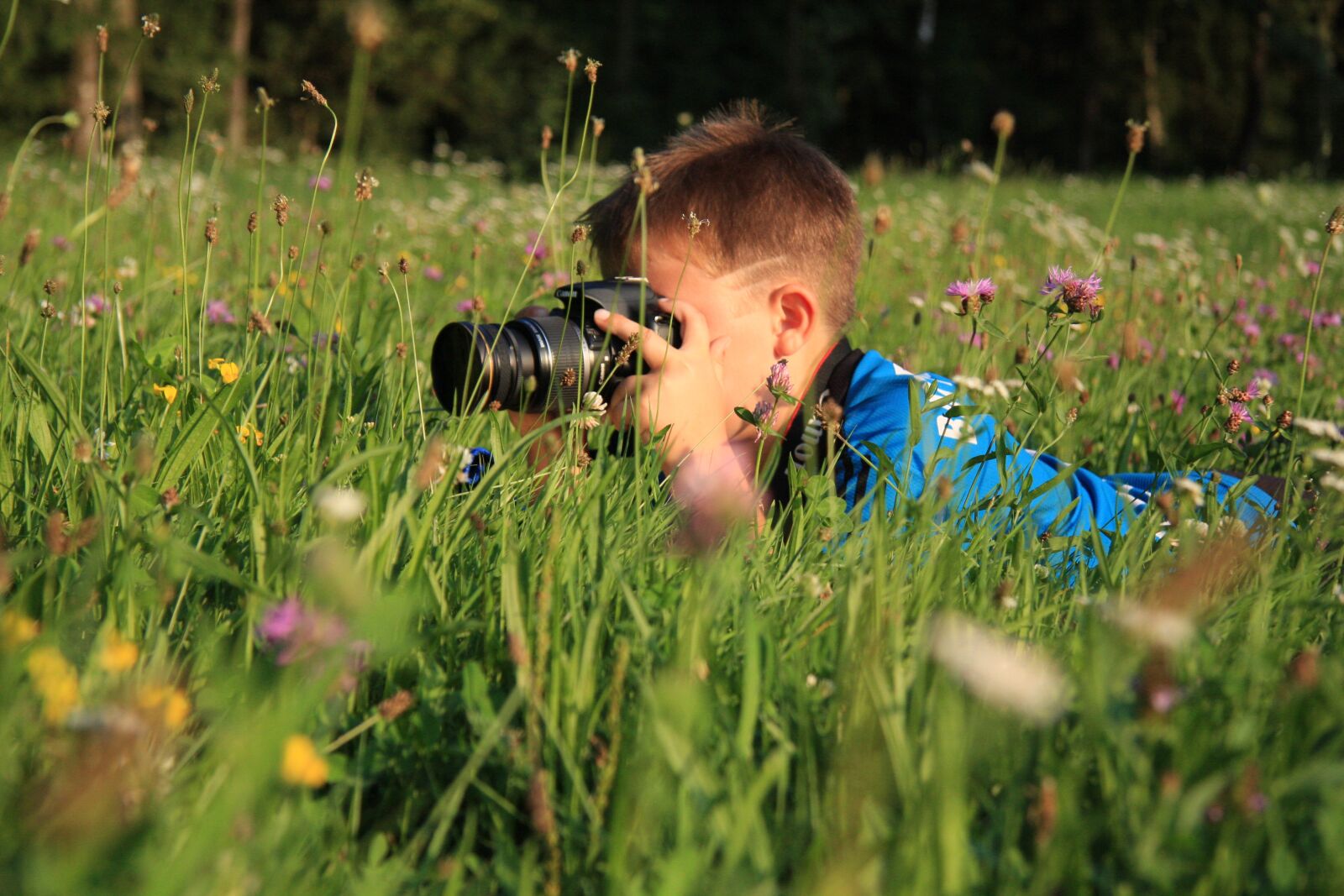 Canon EOS 40D sample photo. Photograph, meadow, grass photography