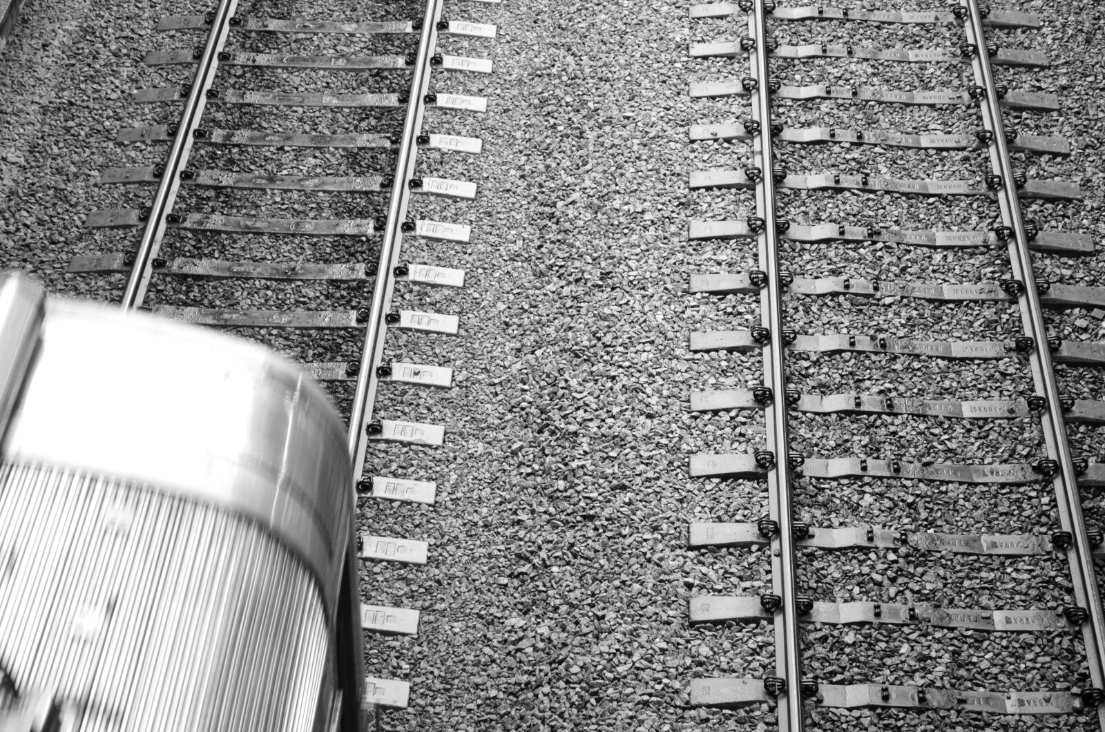 Nikon D5100 sample photo. Black and white, photo photography