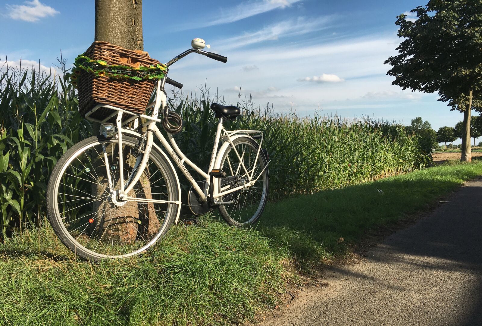 Apple iPhone 6s sample photo. Dutch, wheel, more photography