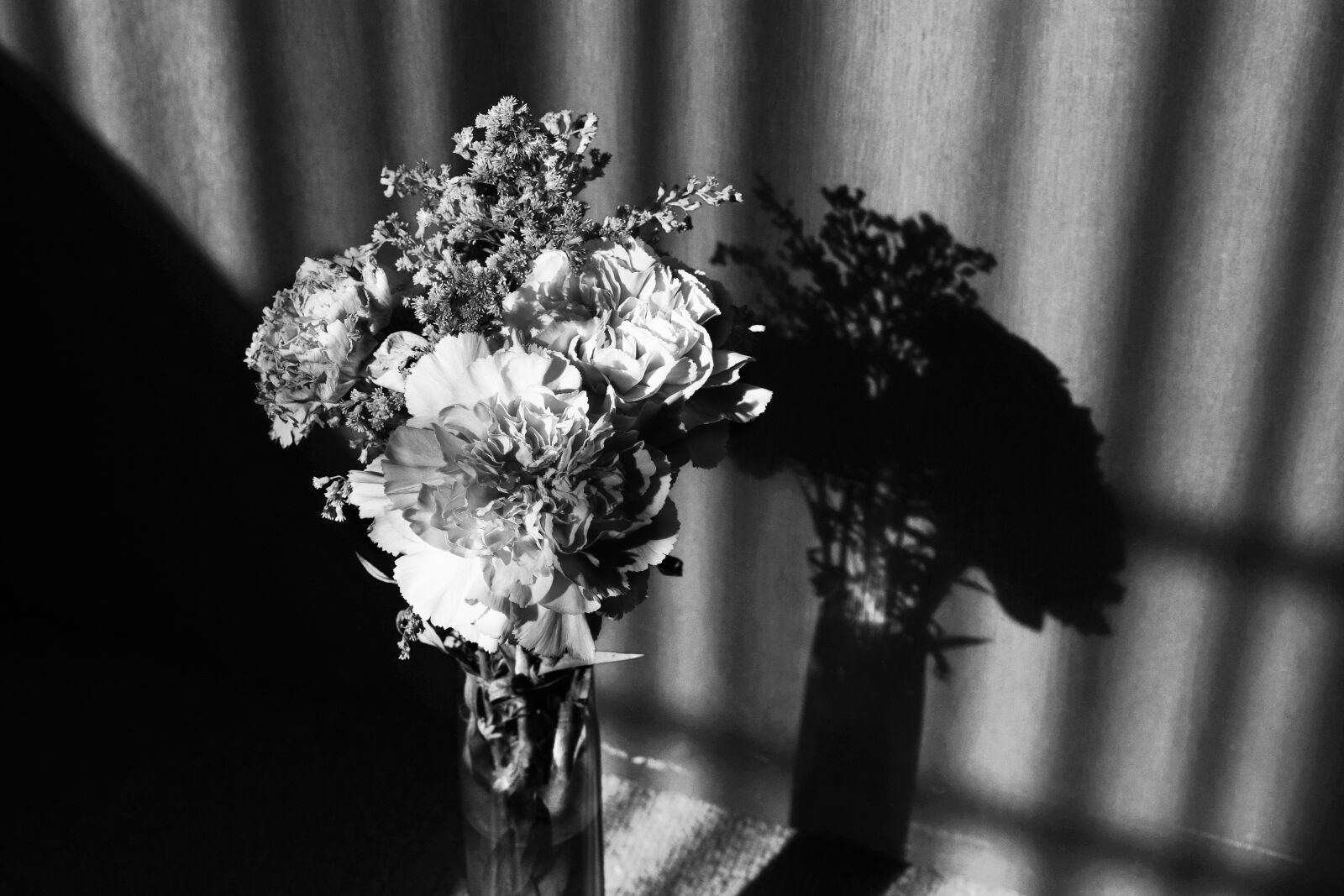 Nikon D3300 sample photo. Beautiful, flowers, black, black photography