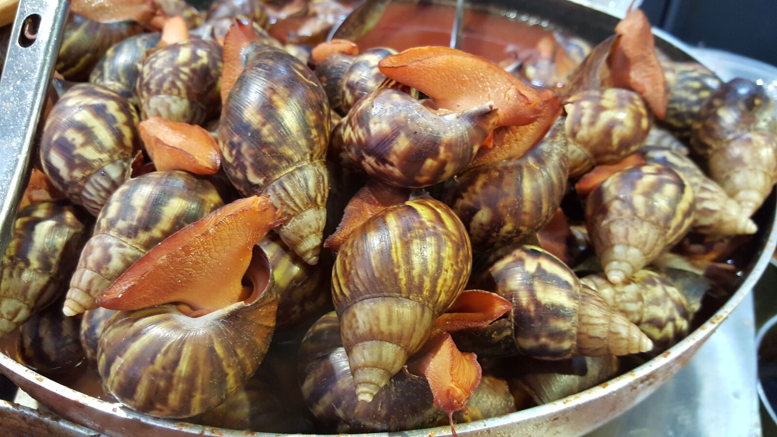 Samsung GALAXY S6 edge sample photo. Slug, roasted slug, chinese photography