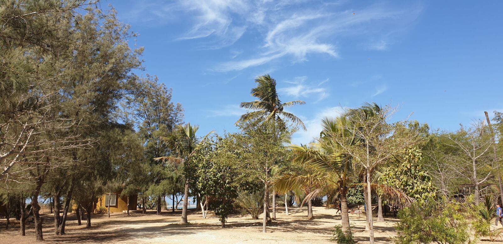 Samsung Galaxy Note9 sample photo. Senegal, saint-louis, camping site photography