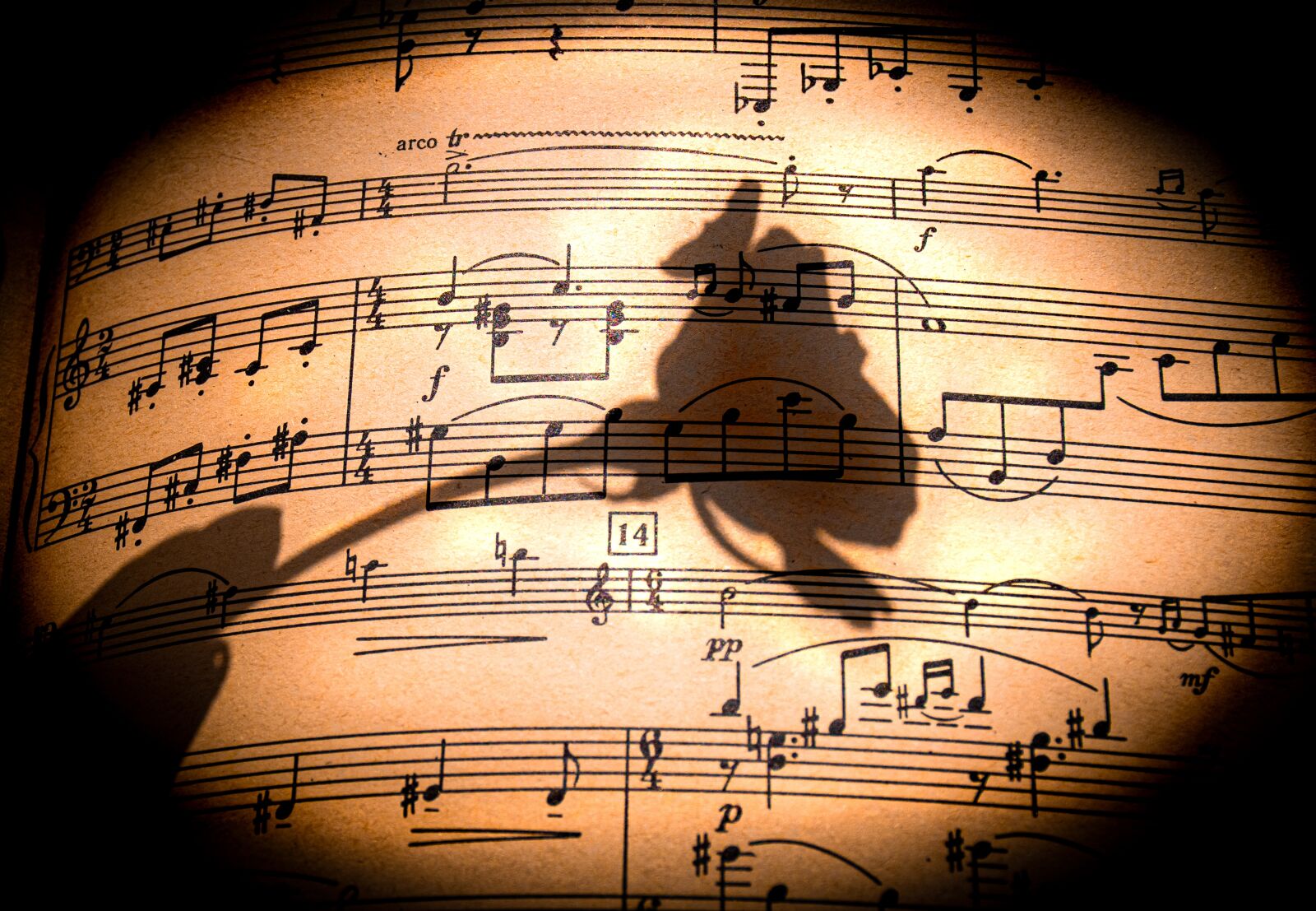 Nikon D5600 sample photo. Music notes, sheet music photography