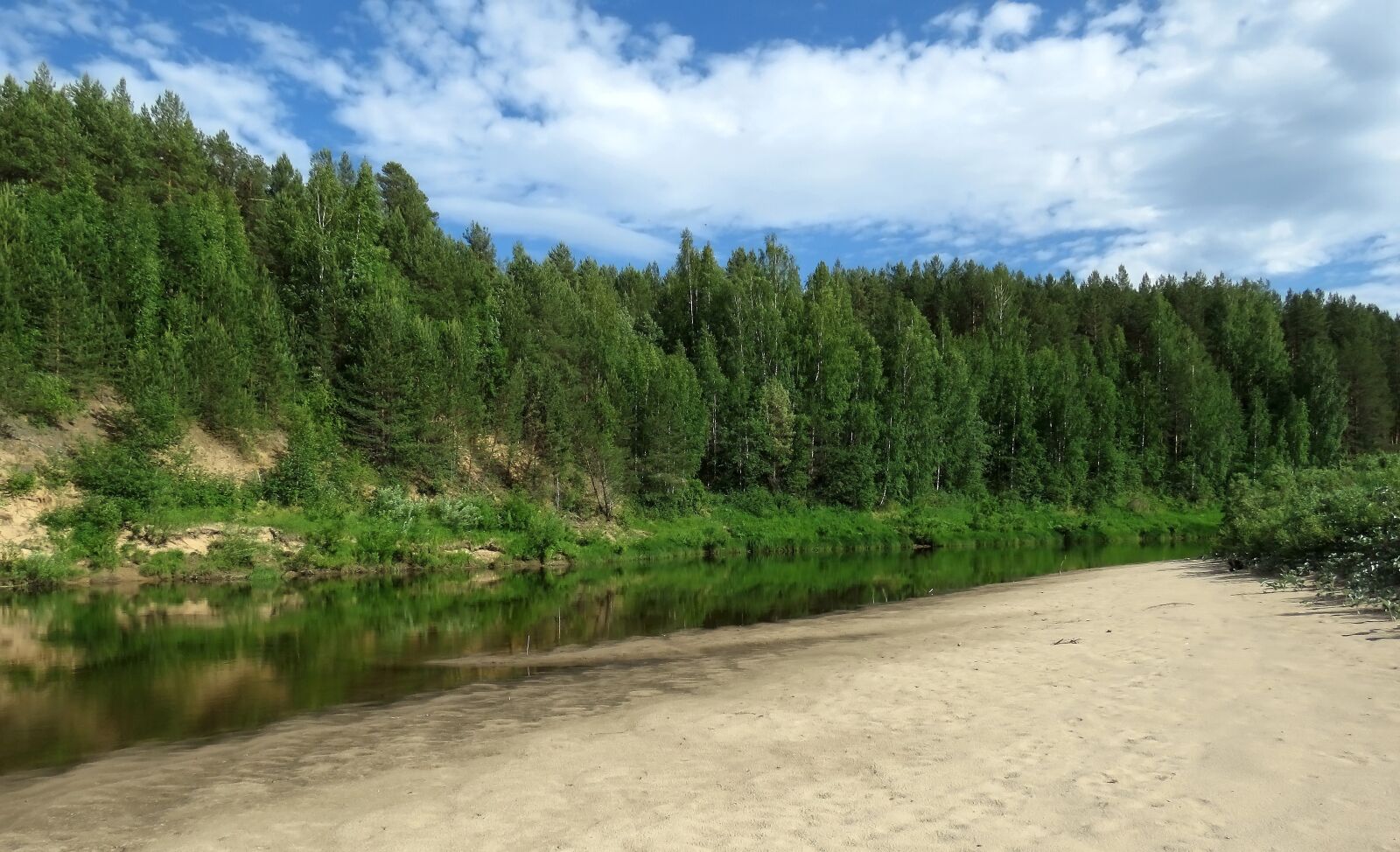 Canon PowerShot SX60 HS sample photo. River, forest, beach photography