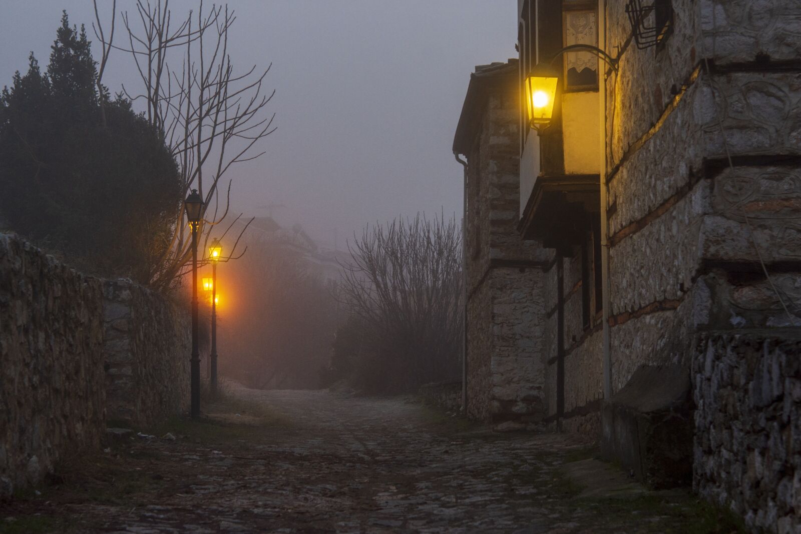 Nikon D7200 sample photo. Fog, mist, magic photography