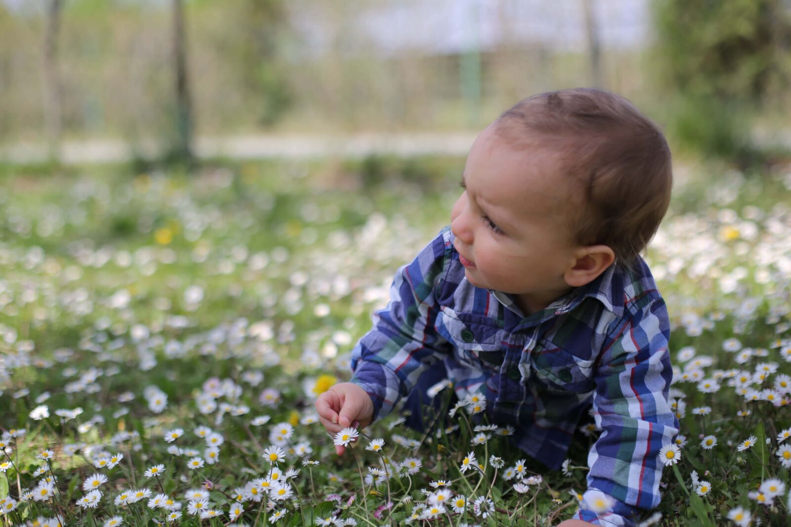 Canon EOS 5D Mark III sample photo. Baby, daisy, child, meadow photography