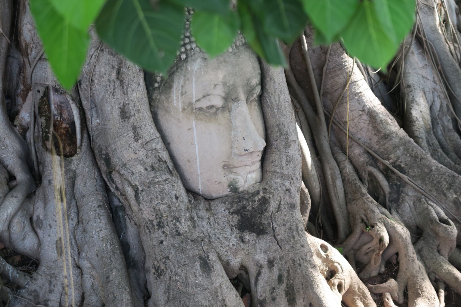 Canon PowerShot G7 X sample photo. Ayutthaya, thailand, buddha photography