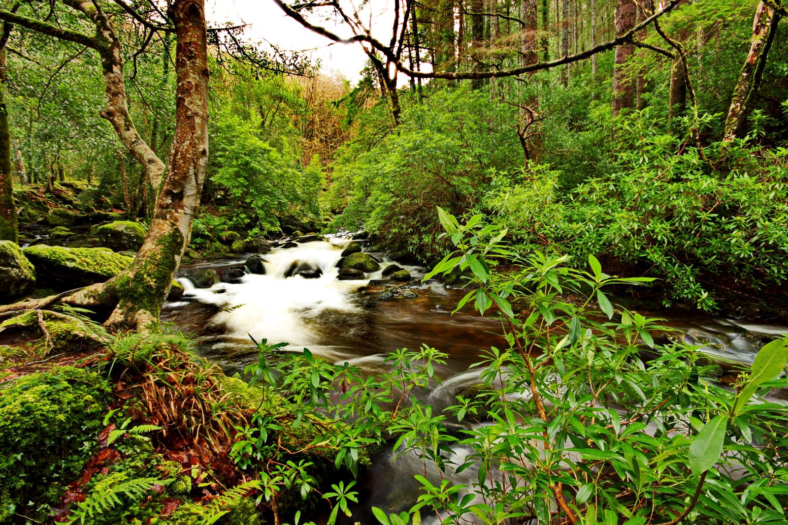 Canon EOS 600D (Rebel EOS T3i / EOS Kiss X5) sample photo. Killarney, water, kerry photography