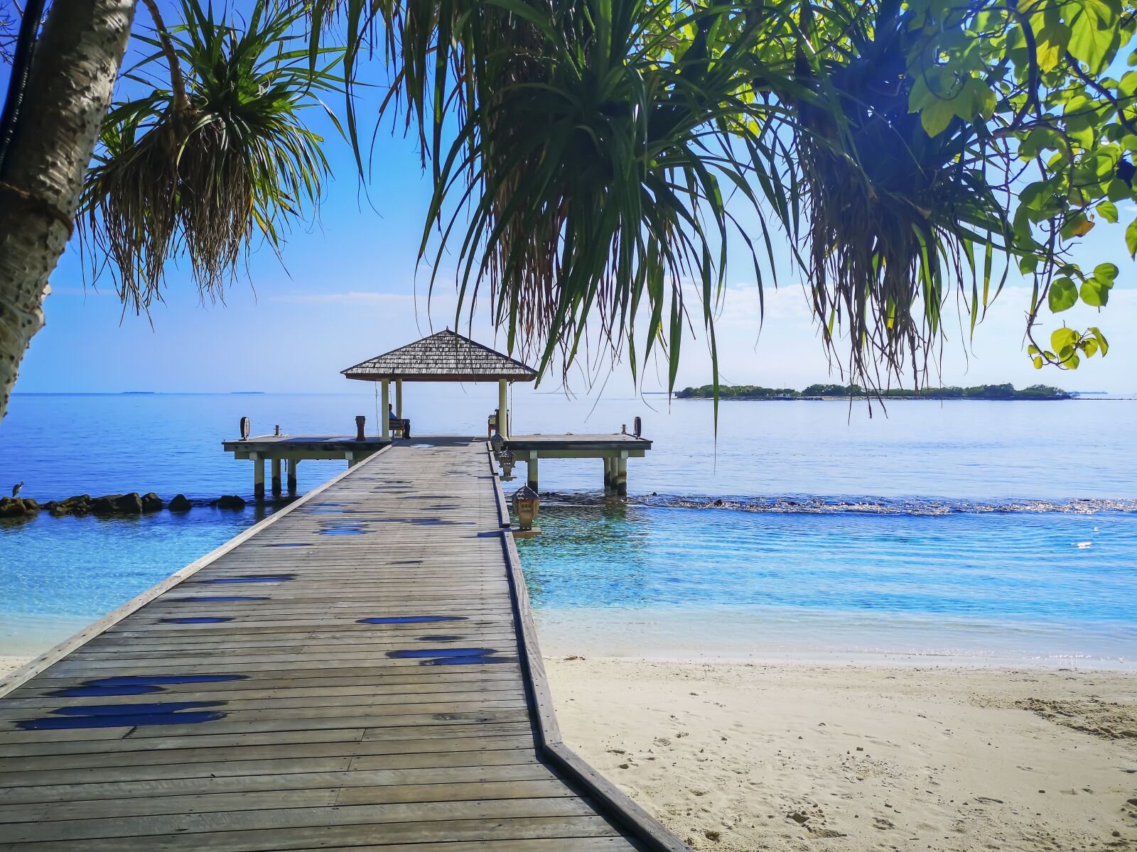 HUAWEI CLT-L29 sample photo. Sea, palm trees, sand photography