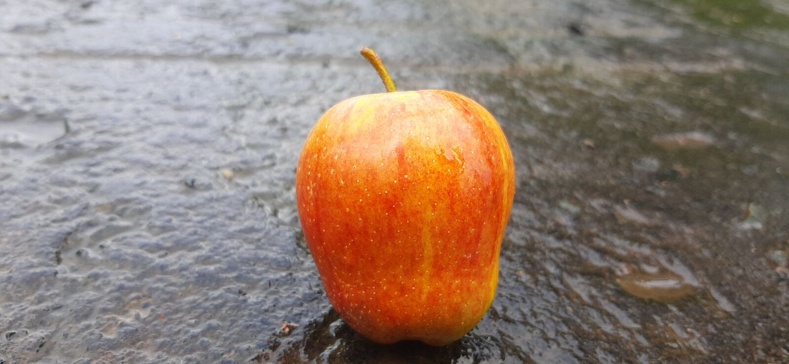 Samsung SM-A307FN sample photo. Buetiful, testy, fresh photography