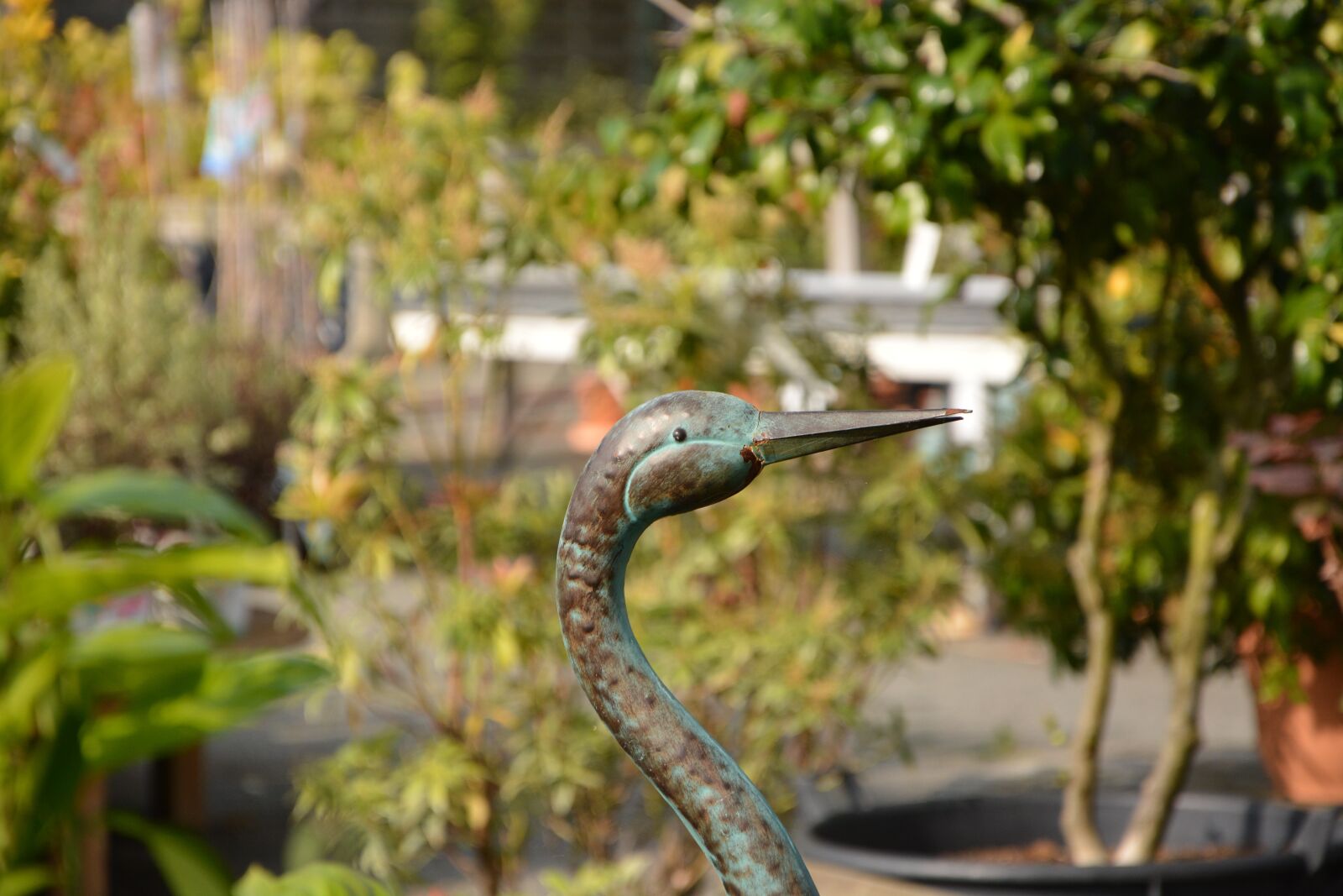 Nikon D5200 sample photo. Bird metal, nature, d photography