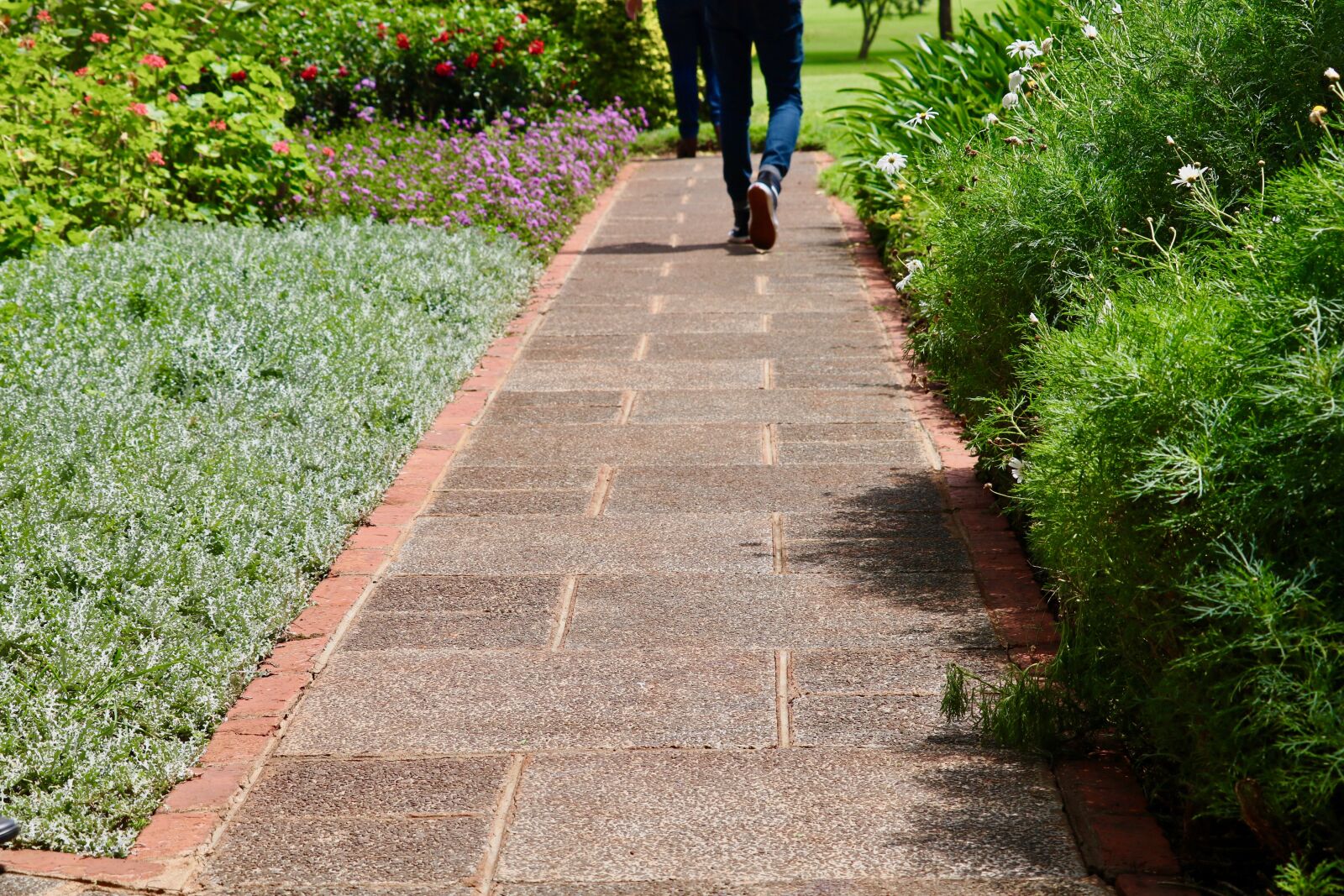 Canon EOS 750D (EOS Rebel T6i / EOS Kiss X8i) + Canon EF-S 55-250mm F4-5.6 IS STM sample photo. Foot, path photography