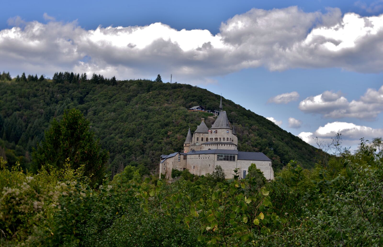 Nikon D600 sample photo. Castle, knight castle, middle photography