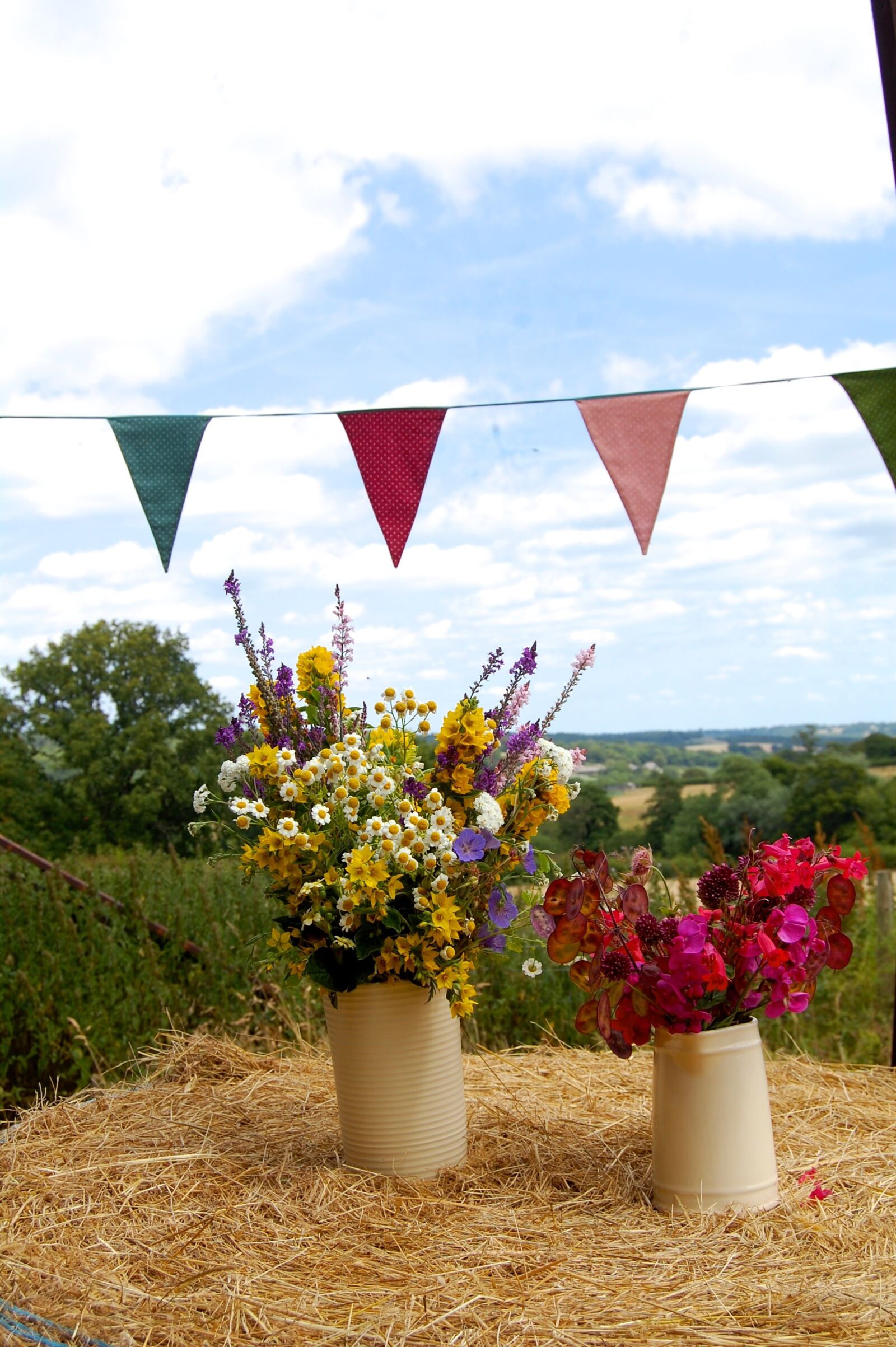 Nikon D40 sample photo. Floral, flowers, barn photography