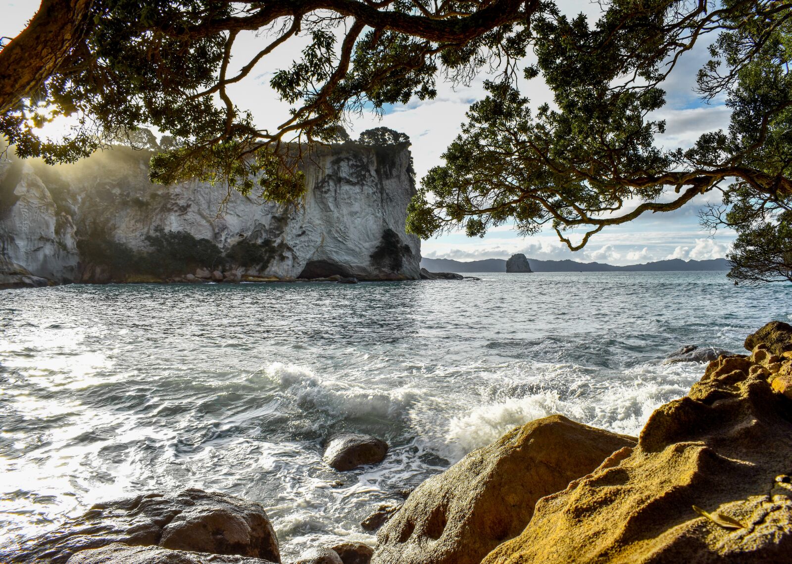Nikon D5600 sample photo. New zealand, north island photography