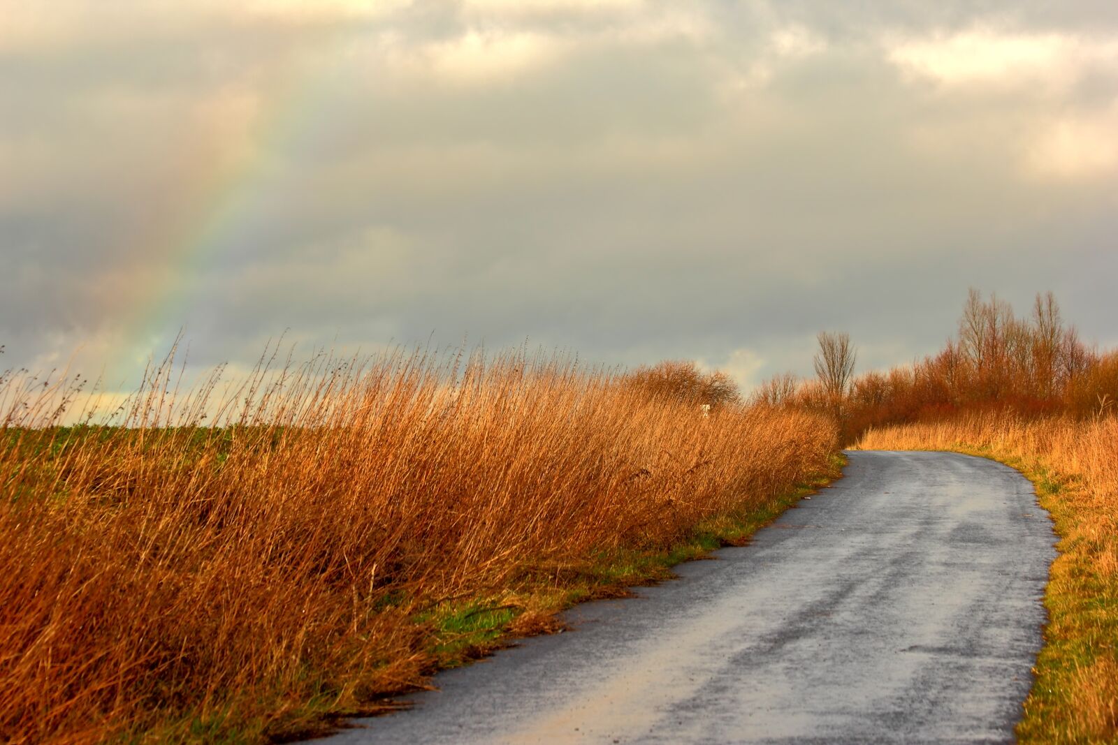Canon EF 70-300mm F4-5.6 IS USM sample photo. Rainbow, away, forest photography