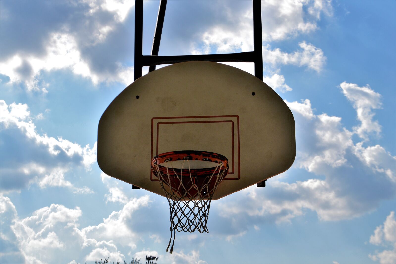 Nikon D3100 sample photo. Basketball, backboard, rim photography