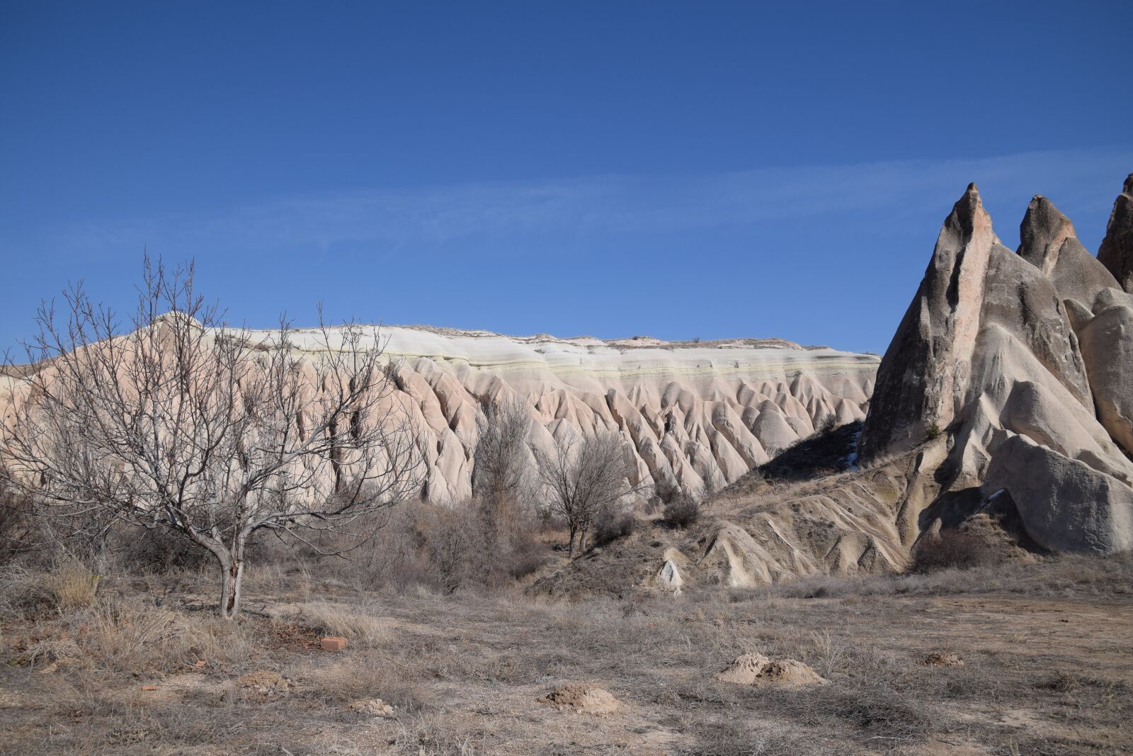 Nikon D5300 sample photo. Rose valley, kapadokya, cappadocia photography
