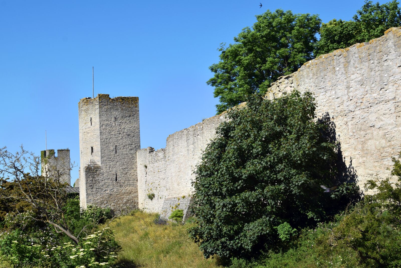 Nikon D5300 sample photo. Visby, curtain wall, wall photography