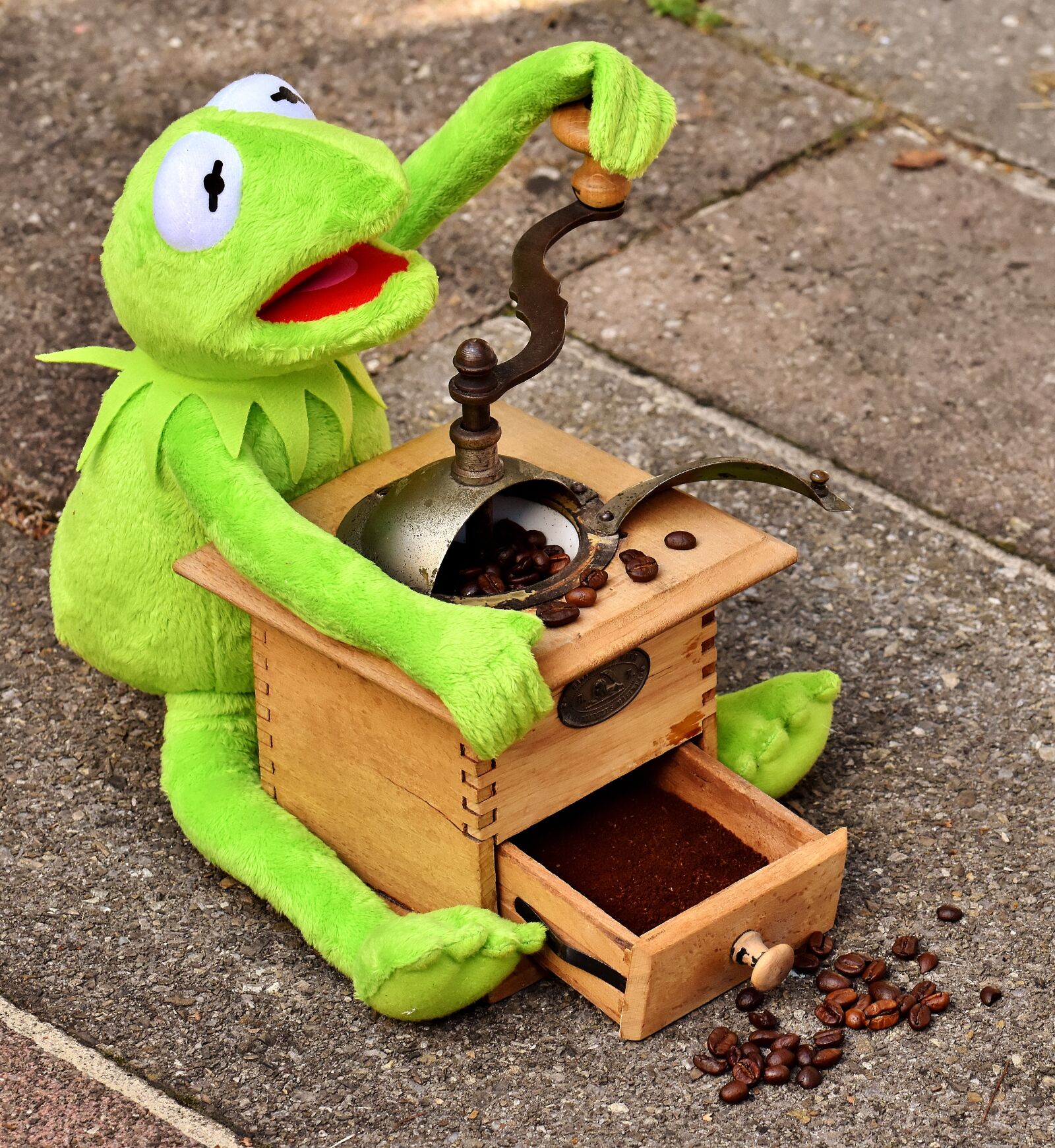 Nikon D7200 sample photo. Grinder, coffee beans, kermit photography