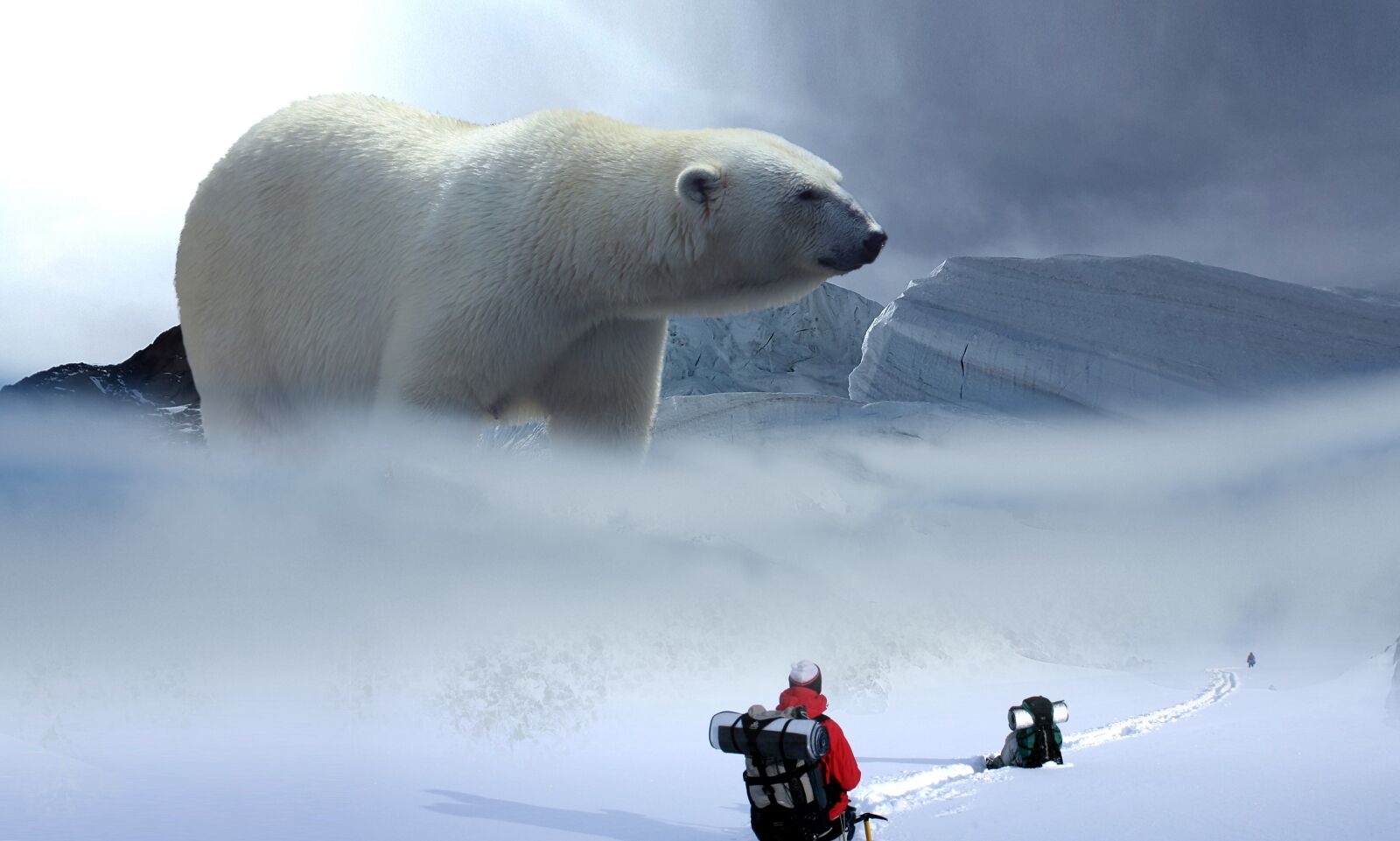 Samsung Galaxy Alpha sample photo. Polar bear, glacier, hike photography
