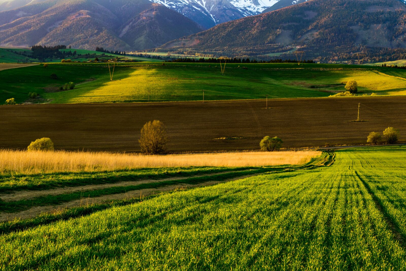 Nikon D3300 sample photo. Mountains, fields, field photography