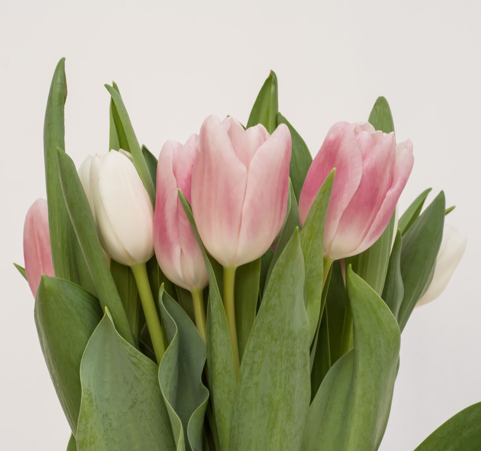 Nikon D7200 sample photo. Flowers, bouqet, nature photography