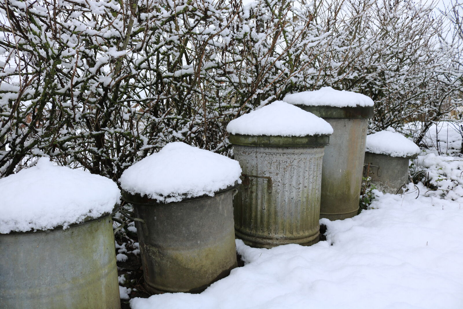 Canon EOS 750D (EOS Rebel T6i / EOS Kiss X8i) sample photo. Bins, metal, snow photography