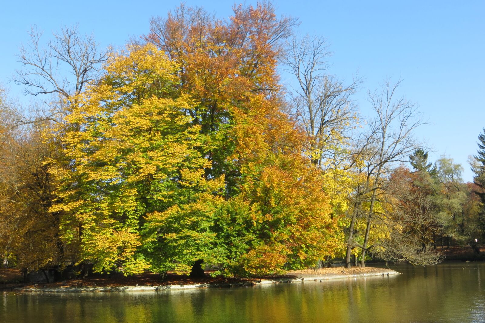 Canon PowerShot SX240 HS sample photo. M chnen, autumn, hinterbr photography