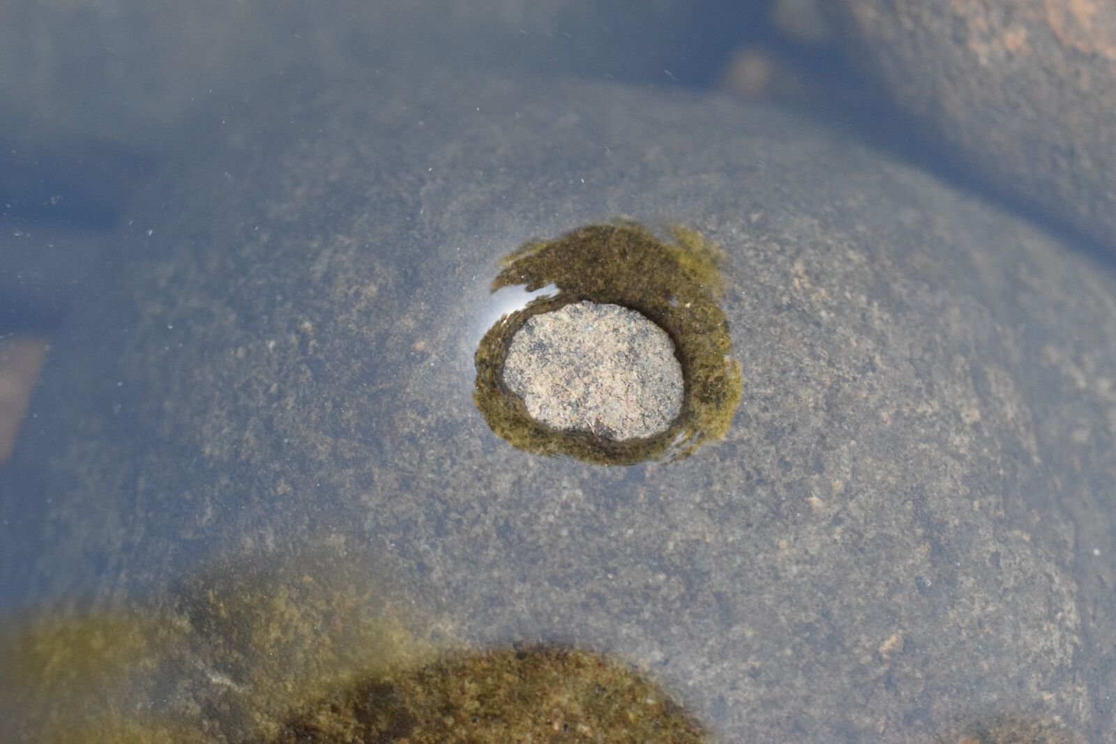 Nikon D5300 sample photo. Water, river, roche photography