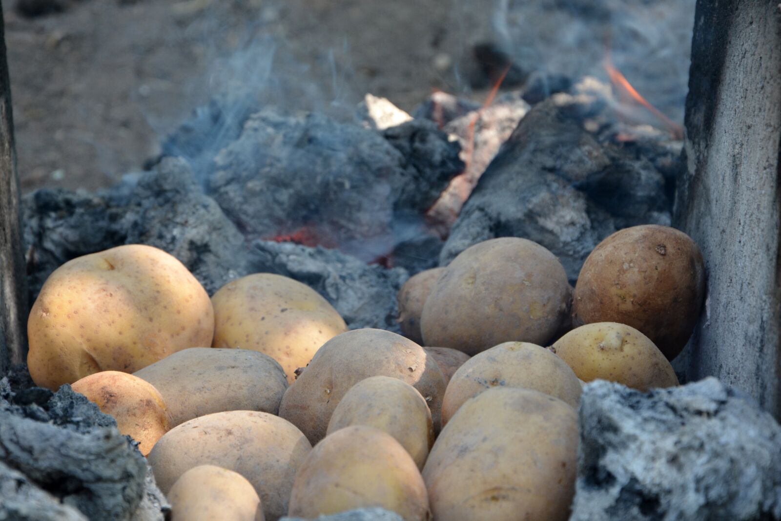 Nikon D7100 sample photo. Ali, embers, blind photography