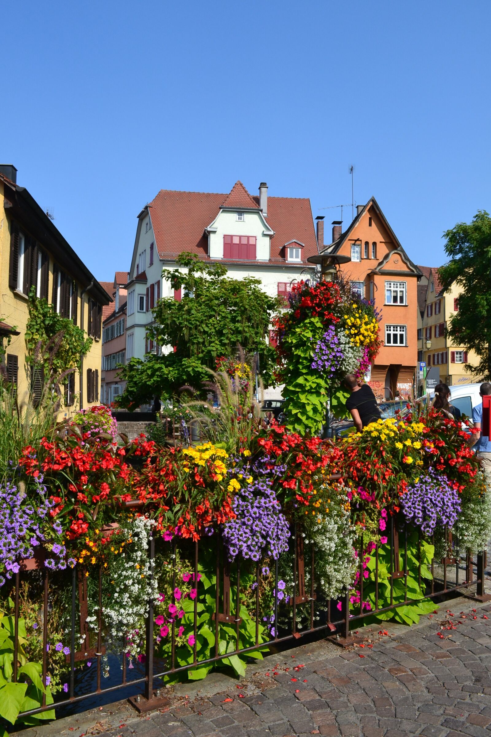 Nikon D3100 sample photo. Flowers, tübingen, city photography