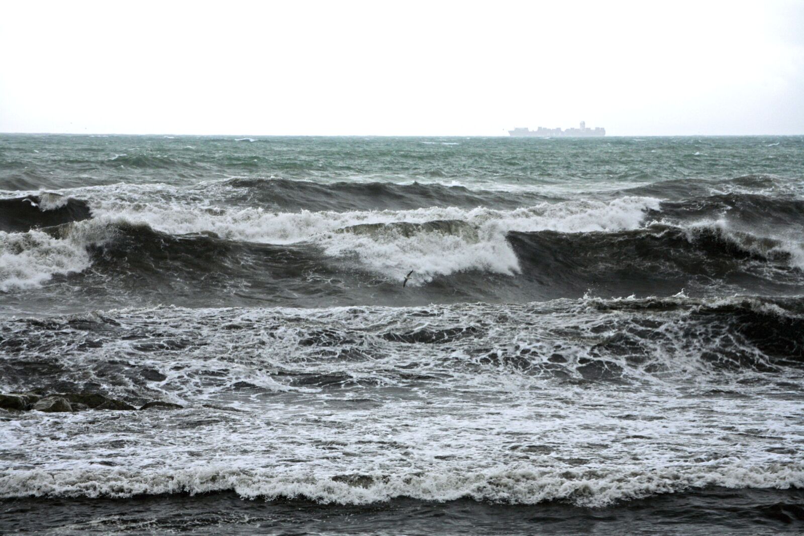Canon EOS 5D sample photo. Recco, liguria, sea photography