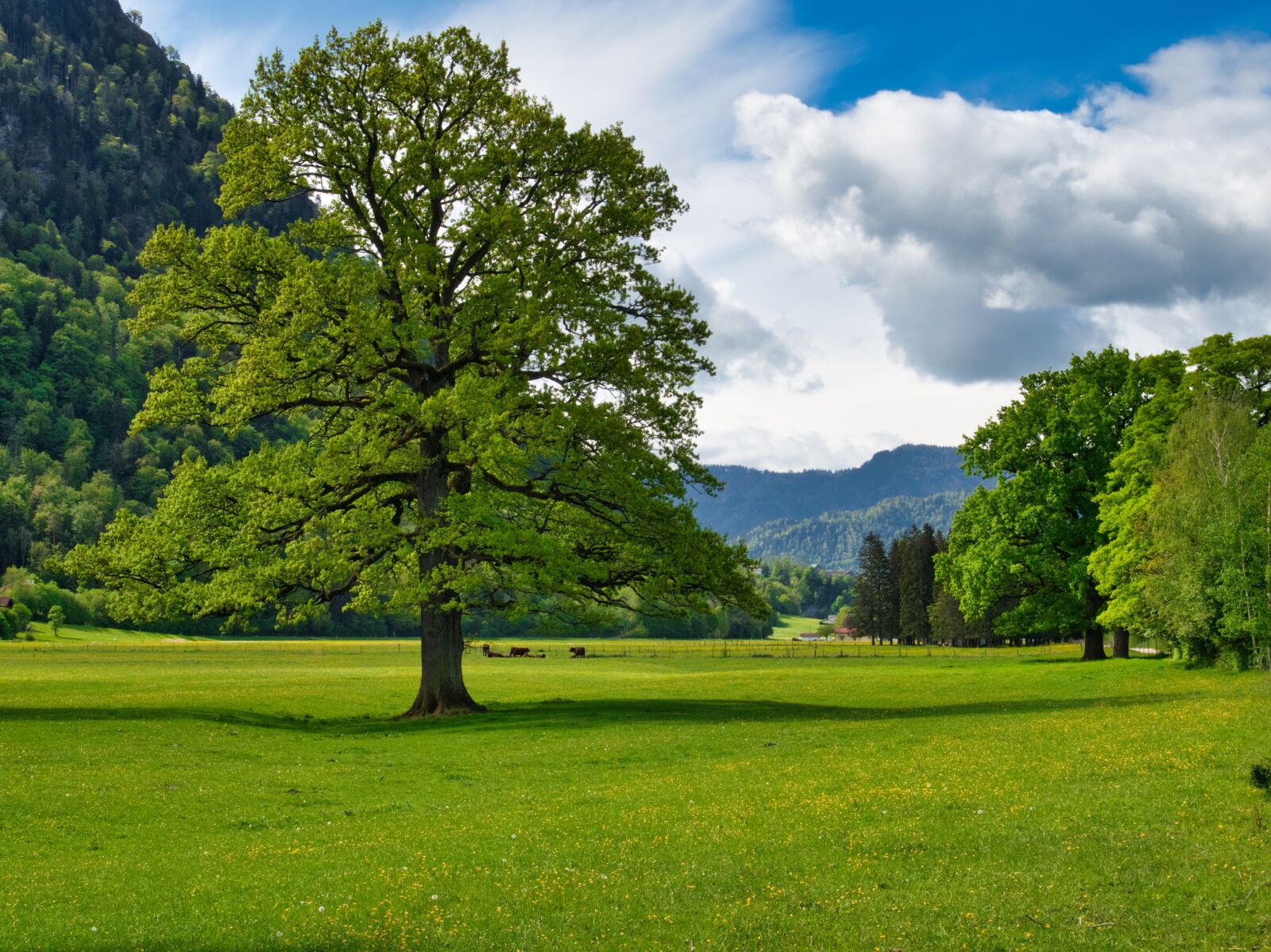 Nikon D7500 sample photo. Landscape, upper bavaria, chiemgau photography