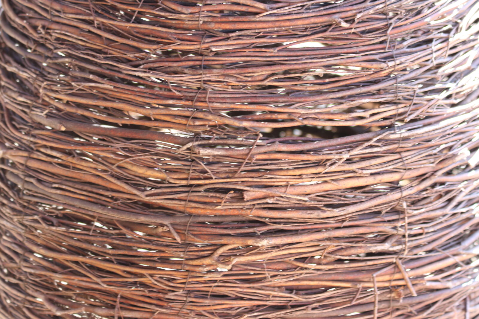 Canon EOS 7D Mark II sample photo. Background, branches, brown, nature photography