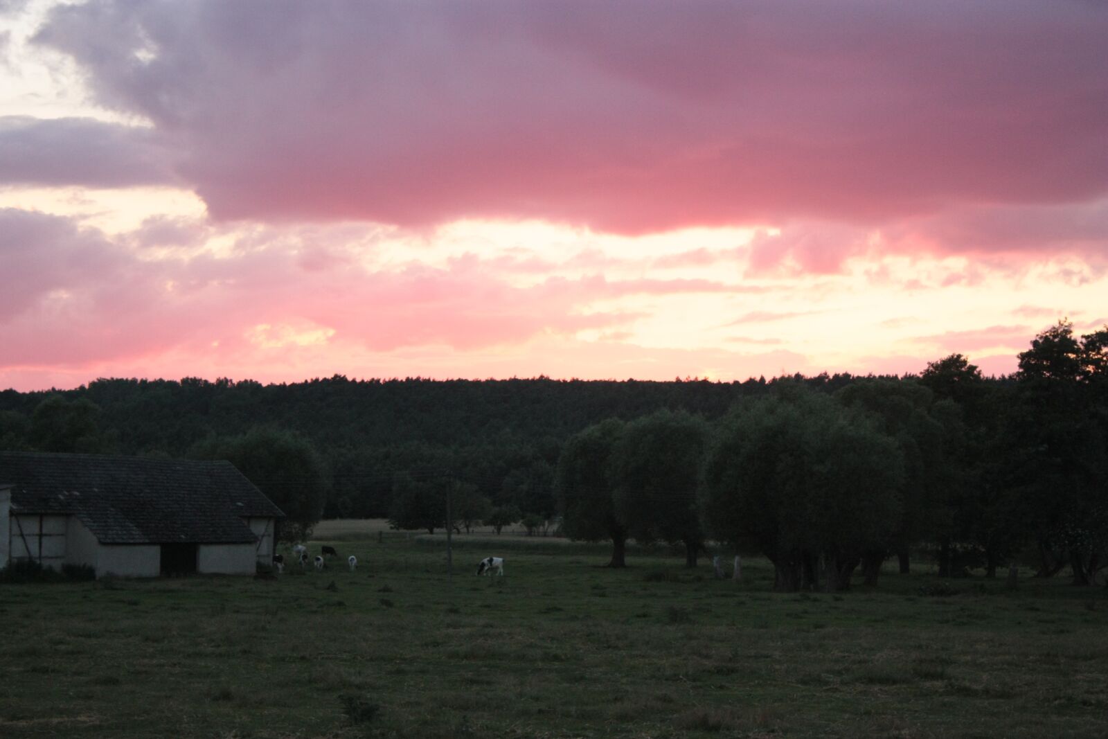 Canon EOS 450D (EOS Rebel XSi / EOS Kiss X2) sample photo. Sunset, evening, landscape photography